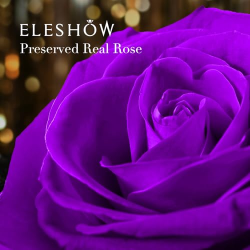 Purple Eternal Rose and "I Love You" Necklace