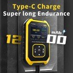 Portable Geiger Counter with LCD Display and Dosimeter