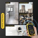 Portable Geiger Counter with LCD Display and Dosimeter