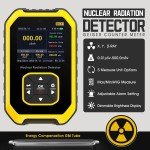Portable Geiger Counter for Nuclear Radiation Detection