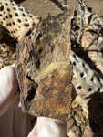 U Ore Mineral Specimen & Geiger Counter Combo