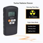 FS2011 Radiation Meter - Reliable Gamma Detector