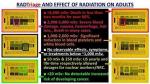 RAD Triage 50 Personal Radiation Dosimeter and Alert