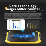 Portable Geiger Counter with LCD Display