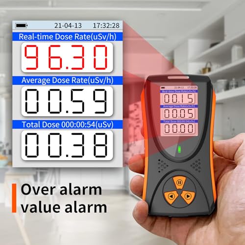 Portable Geiger Counter with LCD Display