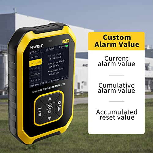 Portable Handheld Geiger Counter Radiation Detector - LCD Display