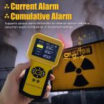 Portable Geiger Counter for Beta and Gamma Radiation