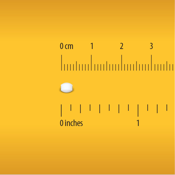 Globe Electrolyte Tablets, 2 Tabs/Packet, 500 Tabs