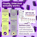 Hangover Relief Pills | Better Mornings, Rapid Hydration, Happy Liver