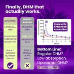 Purple Tree Hangover Kit | Better Mornings, Happy Liver