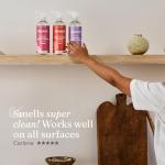 Miniml Eco Antibacterial Surface Cleaner 750ml