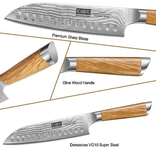 Professional Damascus Chef Knife Set with Ergonomic Handle