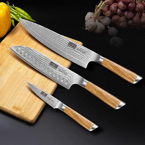 Professional Damascus Chef Knife Set with Ergonomic Handle