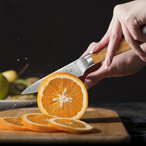 Professional Damascus Chef Knife Set with Ergonomic Handle