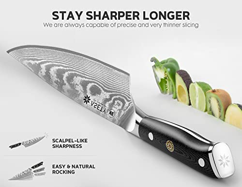 Damascus Knife Set: Ultra-Sharp, Professional Chef Knives, G10 Handle