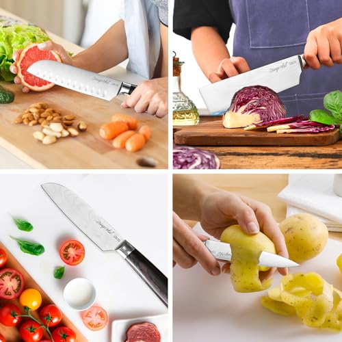 5pc Damascus Kitchen Knife Set with Pakkawood Handle