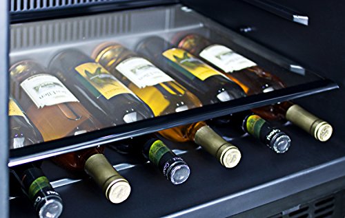 Summit Outdoor Undercounter All-Refrigerator with Glass Shelves