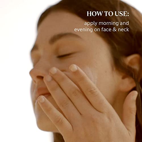 L’OCCITANE Shea Face Cream: Lightweight, Hydrating, Organic