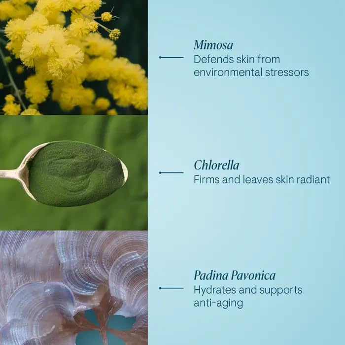 ELEMIS Pro-Collagen Marine Cream | Anti-Wrinkle Daily Moisturizer