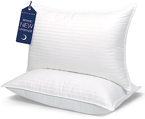 COZSINOOR Hotel-Quality Cooling Pillows: Queen Size, Set of 2