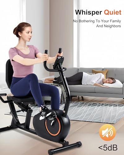 400LB Capacity Recumbent Exercise Bike for Seniors VIP