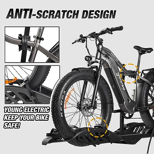 VIP Electric 2-Bike Rack Mate R: E-Bike Hitch