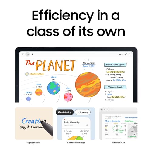 SAMSUNG Galaxy Tab S6 Lite 10.4" 128GB VIP Tablet