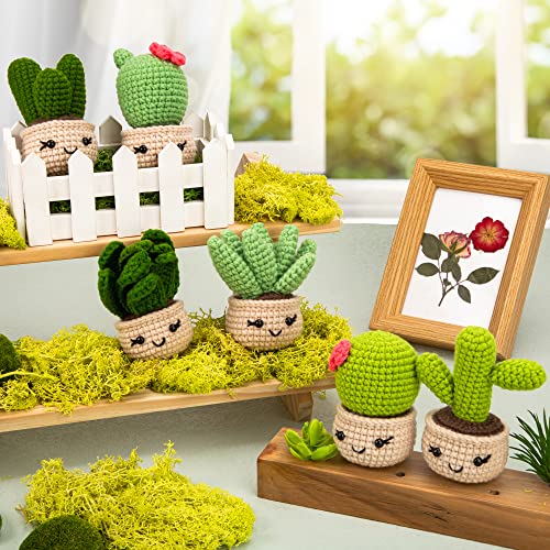 Karsspor Perfect Crochet Kit - 6 PCS Succulents