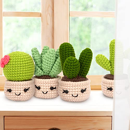 Karsspor Perfect Crochet Kit - 6 PCS Succulents