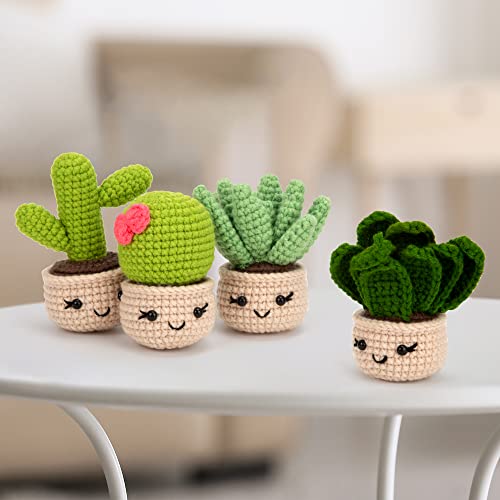 Karsspor Perfect Crochet Kit - 6 PCS Succulents