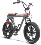 DYU 20" 4.0 Fat Tire Electric Mountain Bike, 750W 48V 15.5AH Shimano 7 Speed