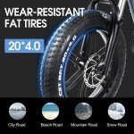 DYU 20" 4.0 Fat Tire Electric Mountain Bike, 750W 48V 15.5AH Shimano 7 Speed