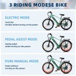 Axiniu Ebike 26'' Electric Bike Adults City Commuter Bicycle 750W Motor E-bike