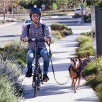 DYU 14" Folding Electric Bike for Adults Teens, 350W 36V/7.5AH, Commuter City✨