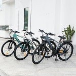 Axiniu 750W Ebike 26" Electric Bike Bicycle For Adults Commuter City E-bike