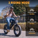 MEELOD Electric Bike for Adults，Electric Mountain Bike 1008W/2000W Brushless Motor 624/960Wh Removable Battery, 28MPH 20" Fat Tire Electric Bike