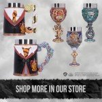 Nemesis Now Harry Potter Goblet, Hand Painted Harry Potter Collectible Chalice, Wizarding Wrold Cup, Ideal Gift for Potterheads - Slytherin