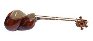Persian Tar String Musical Instrument