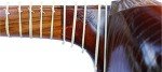 Persian Tar String Musical Instrument