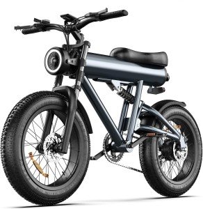 Adult Electric Bicycle 750W Motor 48V 17.5Ah Mountain Ebike Fat Off-road Tire