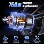Adult Electric Bicycle 750W Motor 48V 17.5Ah Mountain Ebike Fat Off-road Tire