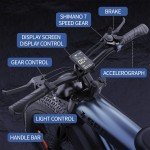 Adult Electric Bicycle 750W Motor 48V 17.5Ah Mountain Ebike Fat Off-road Tire