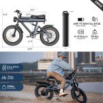 Adult Electric Bicycle 750W Motor 48V 17.5Ah Mountain Ebike Fat Off-road Tire