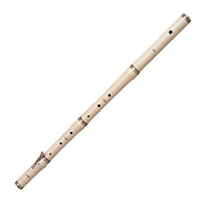 Rhythm Band School Children Musical Instruments Stanesby Jr Flute/Hard Case