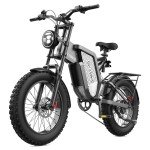 T1/X20/21 Electric Bike 1000W/2000W/3000W 48V/35Ah Dual Suspension Adult Ebike