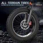 T1/X20/21 Electric Bike 1000W/2000W/3000W 48V/35Ah Dual Suspension Adult Ebike