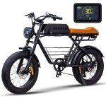Zoonlai Electric Bike for Adults 1000W 20 inch Fat Tire 48V 15AH 7 Speed Ebike