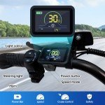 Zoonlai Electric Bike for Adults 1000W 20 inch Fat Tire 48V 15AH 7 Speed Ebike