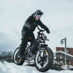 20" Electric Bike 750W 48V 14Ah Motor Cycle Dual Suspension Fat Tire Adult Ebike