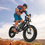 20" Electric Bike 750W 48V 14Ah Motor Cycle Dual Suspension Fat Tire Adult Ebike